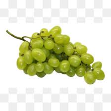 Gambar sketsa buah buahan (anggur). Anggur Hijau Unduh Gratis Anggur Nachos Anggur Kalori Makanan Anggur Hijau Gambar Png
