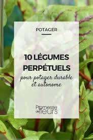 10 Legumes Perpetuels Ou Vivaces Pour Potager Durable Et Autonome Legumes Perpetuels Systeme Aquaponique Potager