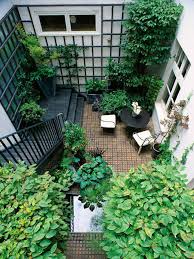 Basement Garden Terrace Garden Courtyard Plants Courtyard Garden