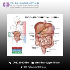 Dr Rajkumar Mathur Gastroenterologist In Indore Gastrointestinal Disease Gastroenterologist Gastrointestinal