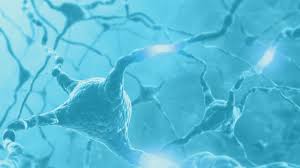 Science and yoga nervous system