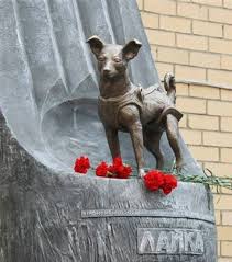 Les soviétiques sont peu bavards sur « la chienne cosmique ». Laika Le Premier Etre Vivant Envoye Dans L Espace