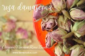 有機波斯玫瑰花 原粒玫瑰 優惠 至7月5日止 rose buds rose organic