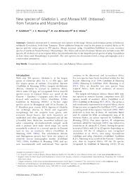 Image result for Gladiolus microspicatus