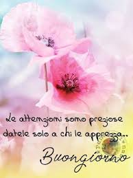 Fiori bianchi frangipani doppia plumeria + farfalla arancione. Buongiorno Con Fiori 4 Buongiornoate It