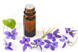 Violet Facts And Health Benefits