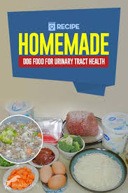 Recipe Homemade Dog Food For Urinary Tract Health Healthy Dog Food Recipes Dog Food Recipes Homemade Dog Food