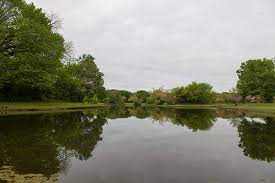 Please visit official websites for the latest information. 5 Nature Filled Experiences Around Colleyville Tx Creme De La Creme