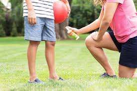 How to repel chiggers in the yard with insecticide. How To Prevent Chigger Bites Hgtv