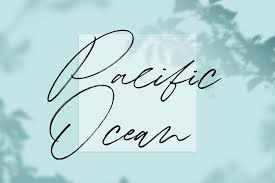 Download 10,000 fonts with one click for $19.95. Winterlady Beautiful Script Font 558800 Handwritten Font Bundles