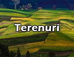 Berceni cu drum amenajat la 100m de sos. Terenuri De Vanzare Piatra Neamt Obiectiv Imobiliare Agentie Imobiliara Piatra Neamt