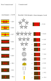 marine corps rank chart free image