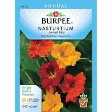 Burpee Nasturtium Jewel Mix Seed 44131 The Home Depot Nasturtium Nasturtium Garden Burpees
