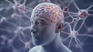 Image result for Sensation