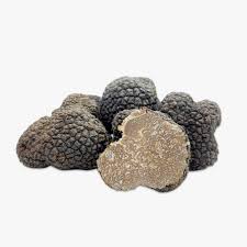 Se pulite il tartufo sotto l'acqua corrente non state compiendo un errore imperdonabile, ma non è il modo più giusto di trattare questo prezioso ingrediente. Tartufo Nero Estivo Fresco Tuber Aestivum Vitt O Tartufo Scorzone