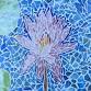 Glass Mosaic II: Beyond the Basics event in La Quinta, CA