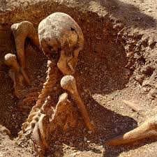 Unusual burials of Celtic 'warriors' discovered in France point to violent deaths | Live Science