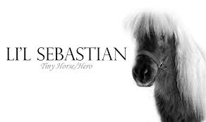 Pin By Joy Elwart On Lulz Parks N Rec Parks And Recreation Lil Sebastian