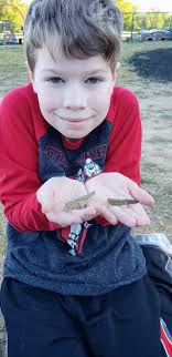 What are some ideas for a bug-themed party or activity for a child?