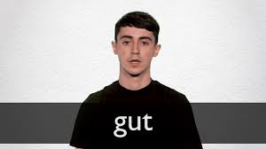 Translate english word gut in hindi with its transliteration. Gut Definition And Meaning Collins English Dictionary