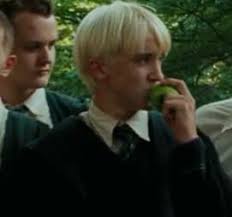 Elisa Tucker (elisatucker60)