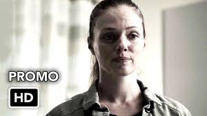 Chicago P.D.: Who Will Take The Fall For Roy's Murder In Season 9?