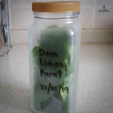 Daun kari menjadi salah satu rempah aromatik yang banyak digunakan di masakan indonesia, terutama makanan khas sumatera. Titian Perjalanan Cara Simpan Daun Limau Purut Agar Kekal Segar Dan Tahan Lama