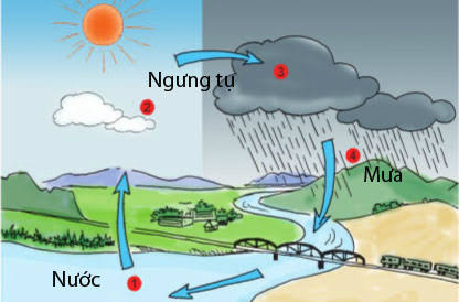 Hãy vẽ sơ đồ vòng tuần hoàn của nước trong tự nhiên ?