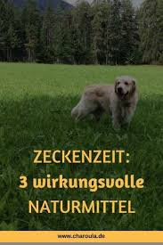 Charoula Barmpouti Zeckenzeit 3 Wirkungsvolle Naturmittel Zeckenmittel Fur Hunde Zeckenschutz Hund Zecke