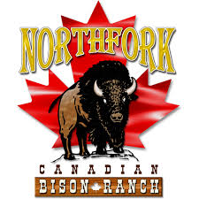 Maybe you would like to learn more about one of these? Bison Cooking Tips
