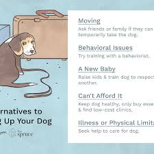 I understand that by surrendering my property rights to this pet, the pet will be transferred into the custody of for the love of paws senior pet sanctuary inc who may. Reasons Not To Give Up Your Dog