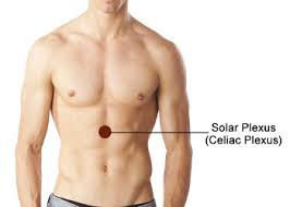 Das tigerauge ist keine varietät des falkenauges, sondern vielmehr das endprodukt aus verwittertem falkenauge. What Is The Solar Plexus Reform Pilates Pdx