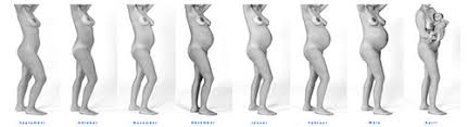 Wer jetzt aber denkt, ich bin in der 16. Babybauchfotos Schwangerschaftsfotos Fotostudio Keepsmile