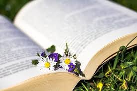 Kumpulan buku filsafat ilmu pdf. Resensi Buku Filsafat Ilmu Amsal Bakhtiar Rikaariyani Com
