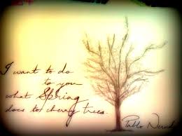 I Want To Do To You What Spring Does To Cherry Trees Pablo Neruda 3 Pablo Neruda Neruda Quotes Love Words