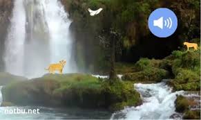 Kanada'da ki niagara şelalesi doğal mı yapay mı? Dogal Ses Kaynaklari Not Bu