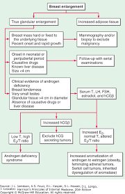 Disorders Of The Testes And Male Reproductive System