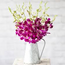 Check spelling or type a new query. Asda Tesco Or Sainsburys Flower Delivery Online Try These