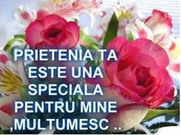 Va Multumesc Prietenilor Mei 4fa9f39ad487f6 Multumesc Tuturor Celor Ce Mi Sunt Prieteni Gabilaura Inspirational Quotes Violet Plant Verses
