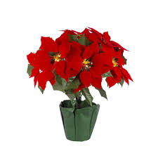 Retailer website will open in a new tab. Gerson International 17 75 In Poinsettia In The Christmas Decor Department At Lowes Com