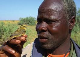 Ochrona wodniczki w Polsce i w Niemczech