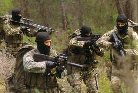 Now, as it pertains to fn herstal and the p90/ps90, the story has dual origins. Fn P90 Weaponsystems Net