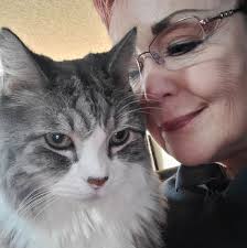 Statue Head of an Egyptian Woman 🗿✨ This remarkable limestone head of a  woman dates back 3,000 years to Egypt's New Kingdom period. It is part of  the collection at the Field