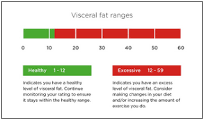 Understanding Your Measurements Tanita