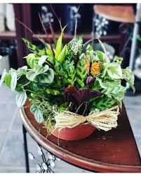 We have put together a list of the best flower delivery companies in the city, which means any of them will do an excellent job on. Plants Delivery San Diego Ca Eden Flowers Gifts Inc