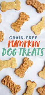 Grain Free Pumpkin Coconut Dog Treats Recipe Grain Free Dog Treats Recipes Dog Biscuit Recipes Dog Treats Grain Free