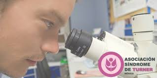 Síndrome de Turner (@turnermexico)