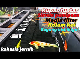 Daftar harga filter air kolam ikan terbaru juli 2021. Filter Kolam Koi Jernih Sistem Filterasi Pemipaan Dan Media Filter Bagong Nishiki Goi Farm Youtube Pond Pumps And Filters Kolam Koi Filter Kolam Koi