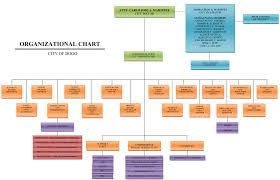 Organizational Chart