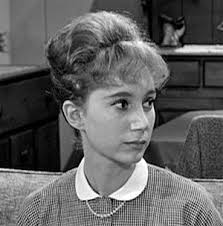 Television's New Frontier: The 1960s: The Andy Griffith Show (1962)